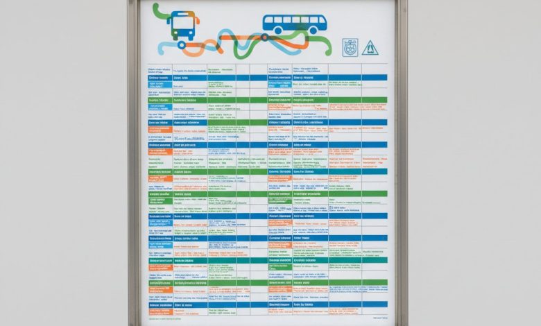 розклад руху автобуса 116 кропивницький