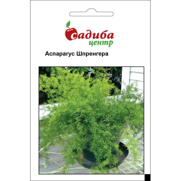 Семена